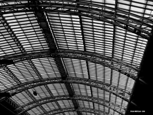 Schwarz-Weiß-Fotografie 33, Copyright Sylvia Wentzlau