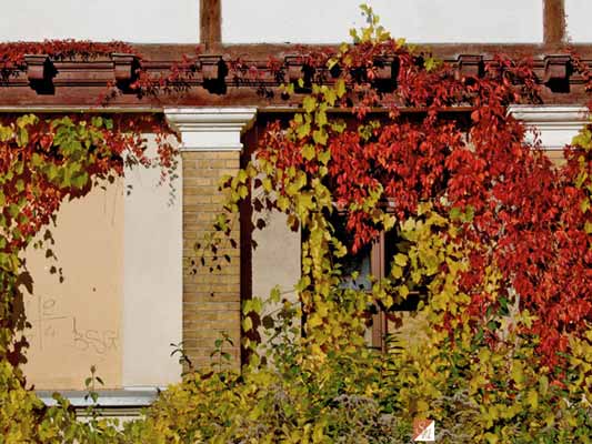 Lost Place Fotografie XXIII