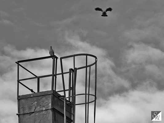 Lost Place Fotografie XVIII