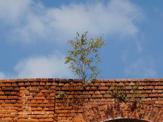 Lost Place Leipzig - Detailfoto Bleichert-Werke