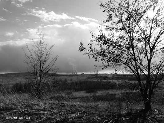 Leipzig - Zu neuem Leben erweckt II
