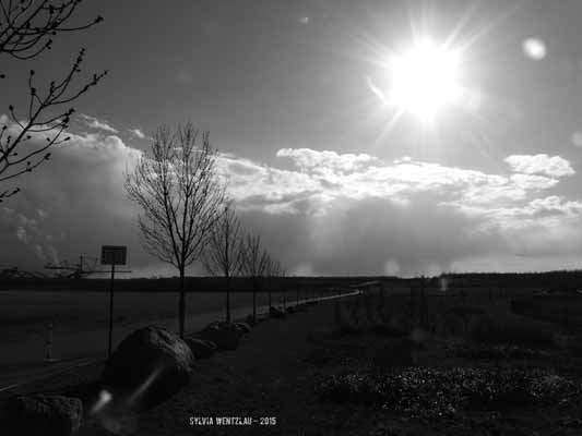 Leipzig - Zu neuem Leben erweckt VI