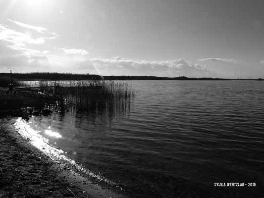 Leipzig - Zu neuem Leben erweckt VII