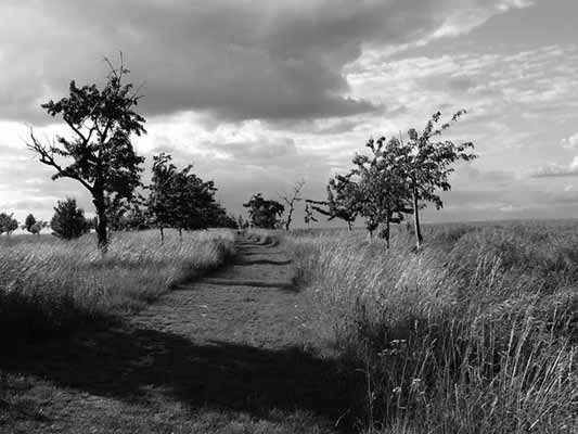 Aufziehende Regenfront