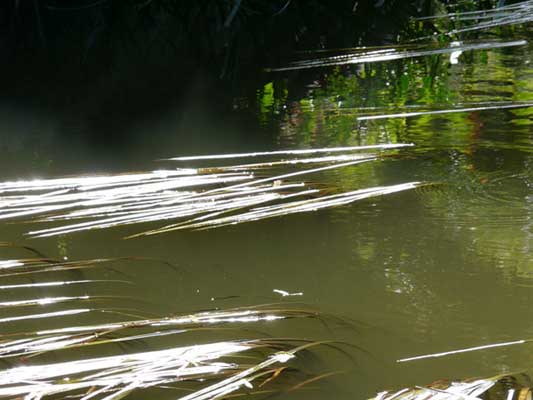 Wasserfotografie 11, Copyright Sylvia Wentzlau