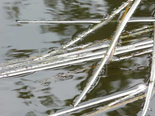 Wasserfotografie 6, Copyright Sylvia Wentzlau