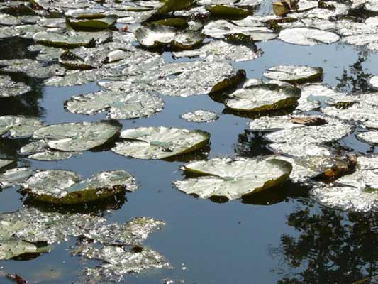 Wasserfotografie 22, Copyright Sylvia Wentzlau