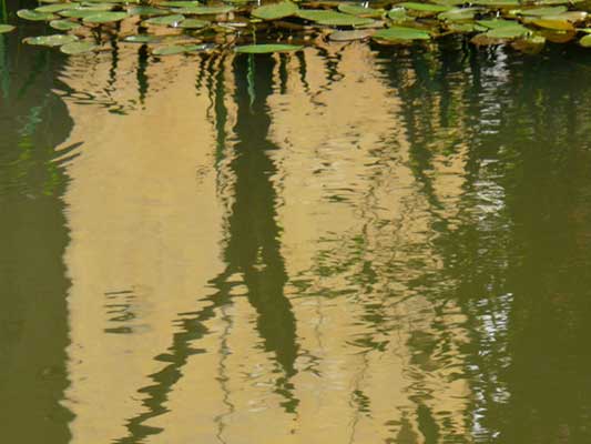 Wasserfotografie 16, Copyright Sylvia Wentzlau