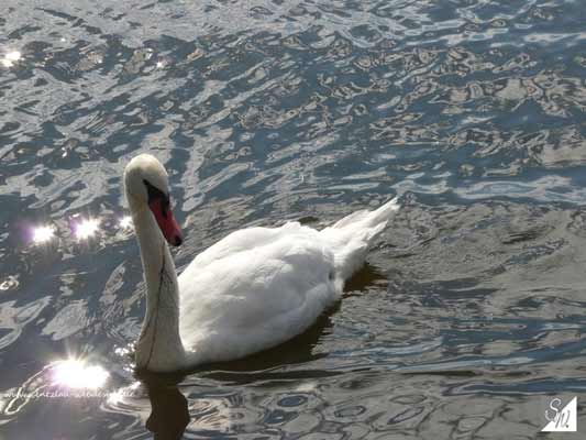 Wasserfotografie 25, Copyright Sylvia Wentzlau