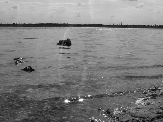 Wasserfotografie 26, Copyright Sylvia Wentzlau