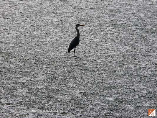 Wasserfotografie 29, Copyright Sylvia Wentzlau