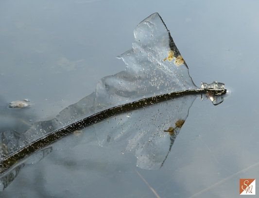 Wasserfotografie 34, Copyright Sylvia Wentzlau