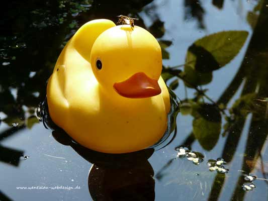 Wasserfotografie 36, Copyright Sylvia Wentzlau