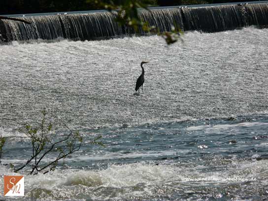 Wasserfotografie 28, Copyright Sylvia Wentzlau