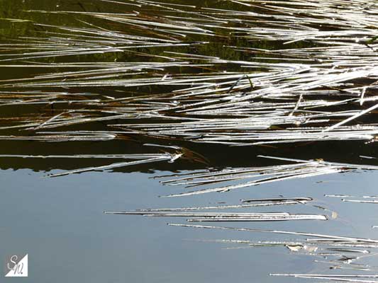 Wasserfotografie 4, Copyright Sylvia Wentzlau