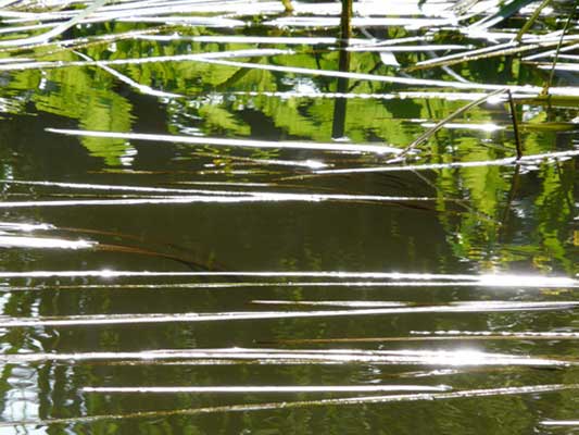 Wasserfotografie 2, Copyright Sylvia Wentzlau