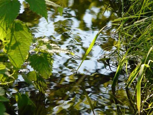 Wasserfotografie 33, Copyright Sylvia Wentzlau